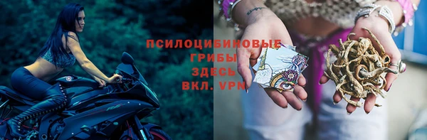 спайс Алексин