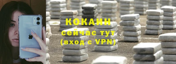 спайс Алексин