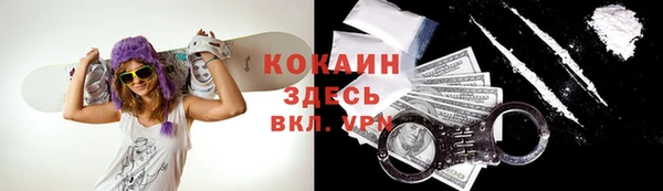 спайс Алексин