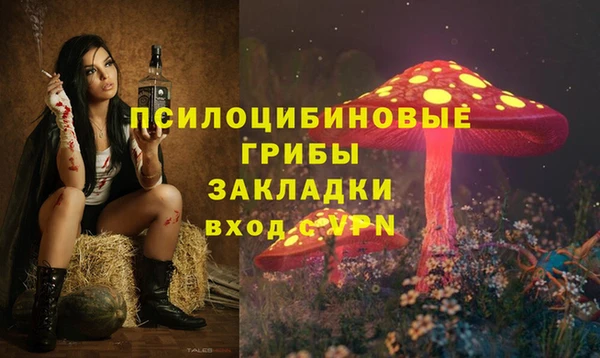 молекула духа Алзамай