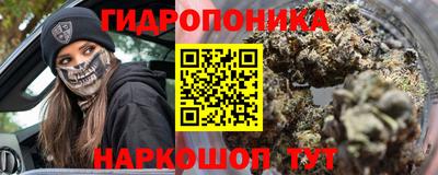 шишки Азнакаево