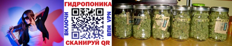 Каннабис ГИДРОПОН Амурск